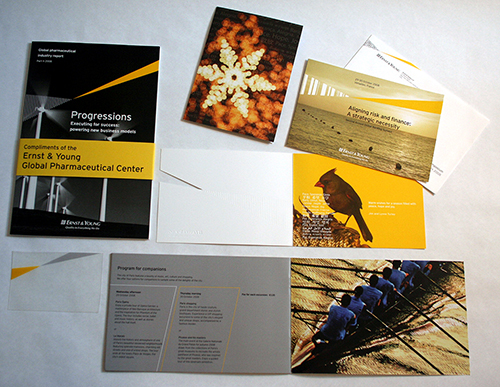 Ernst & Young proposals EY